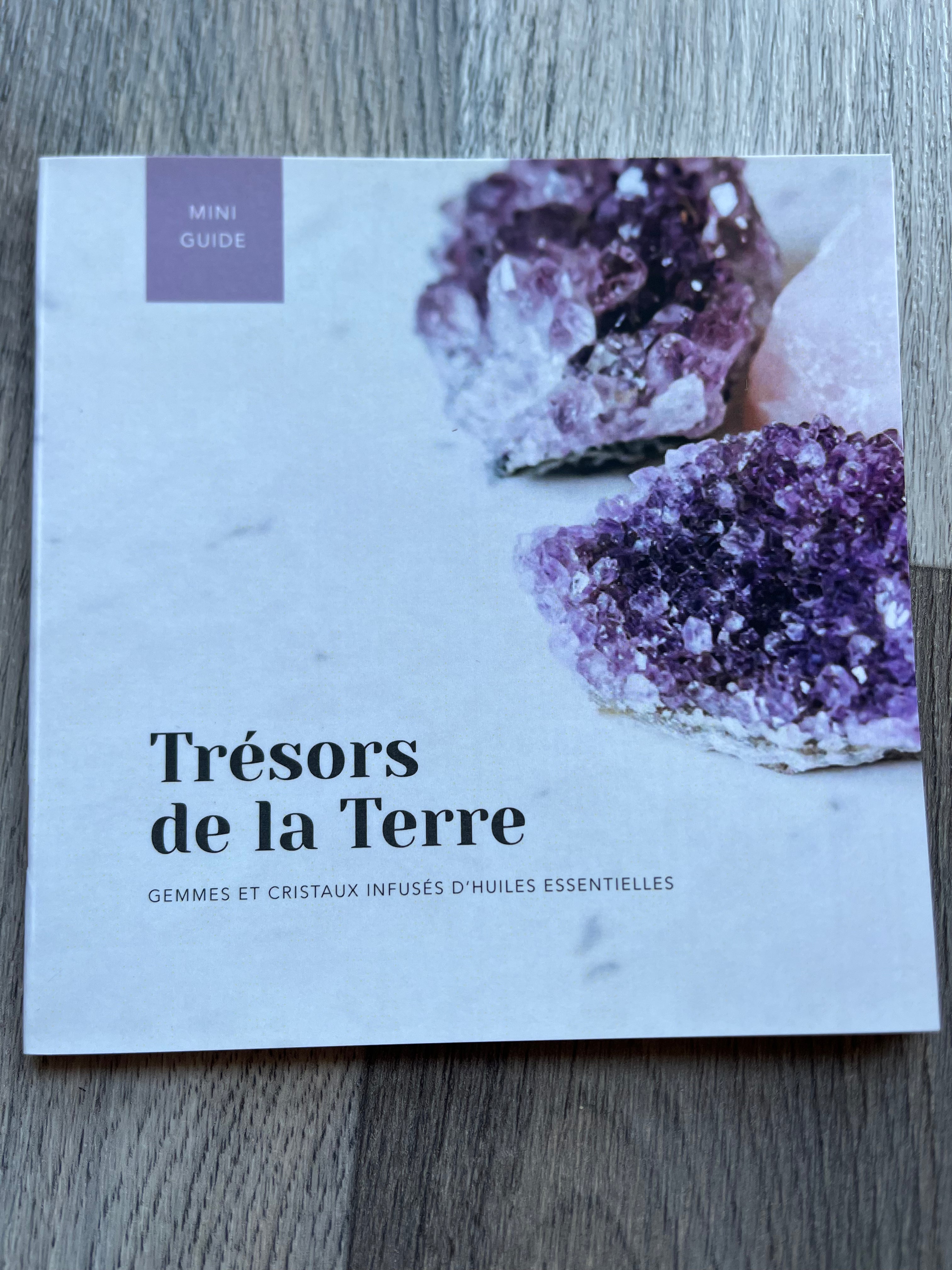 trésors de la Terre : mini-guide des pierres précieuses et des cristaux