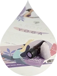  Outils professionnels